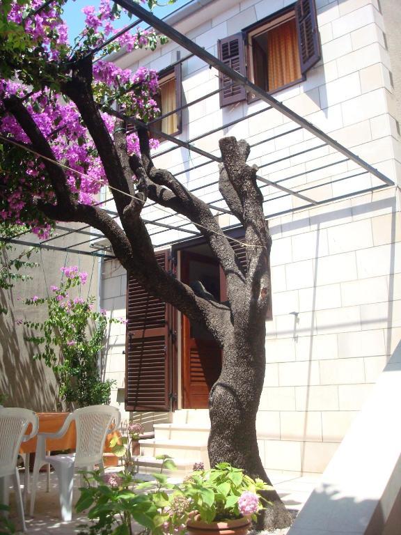 Apartments Mila 볼 객실 사진