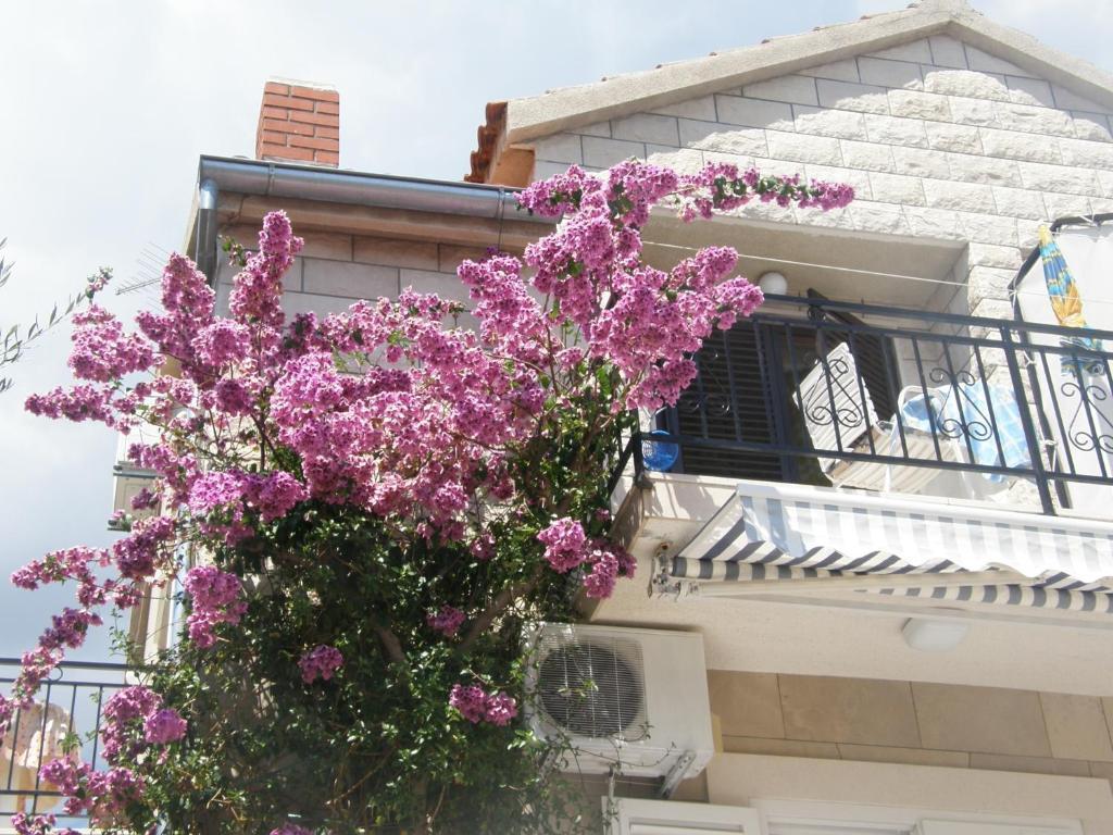 Apartments Mila 볼 객실 사진